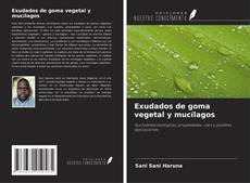Couverture de Exudados de goma vegetal y mucílagos