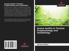 Bookcover of Acacia tortilis in Tunisia: Ecophysiology and morphology