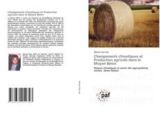 Couverture de Changements climatiques et Production agricole dans le Moyen Bénin