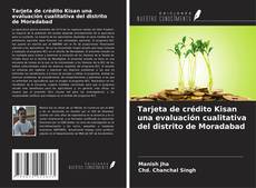 Buchcover von Tarjeta de crédito Kisan una evaluación cualitativa del distrito de Moradabad