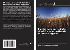 Copertina di Efectos de la variabilidad climática en el cultivo de la piña en Uganda