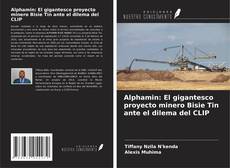 Copertina di Alphamin: El gigantesco proyecto minero Bisie Tin ante el dilema del CLIP