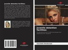 Обложка Juvenile detention facilities:
