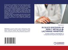 IN SILICO DISCOVERY OF NDM-1 METALLO-β-LACTAMASE INHIBITORS的封面
