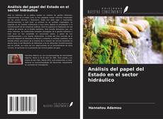 Copertina di Análisis del papel del Estado en el sector hidráulico