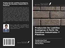 Couverture de Producción De Ladrillos Ecológicos A Partir De Residuos Industriales Y Plásticos