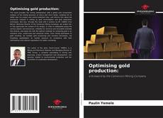Borítókép a  Optimising gold production: - hoz