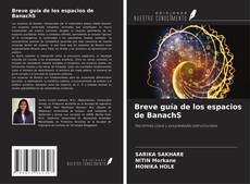 Breve guía de los espacios de BanachS的封面