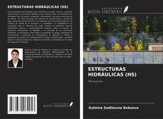 Copertina di ESTRUCTURAS HIDRÁULICAS (HS)