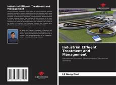 Borítókép a  Industrial Effluent Treatment and Management - hoz