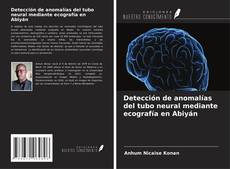 Copertina di Detección de anomalías del tubo neural mediante ecografía en Abiyán