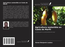 Buchcover von Agricultura sostenible en Costa de Marfil