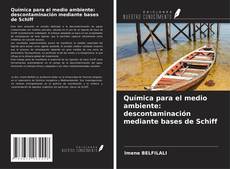 Copertina di Química para el medio ambiente: descontaminación mediante bases de Schiff