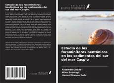 Copertina di Estudio de los foraminíferos bentónicos en los sedimentos del sur del mar Caspio