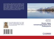 Bookcover of Brown algae nanoencapsulation and Podocyturia