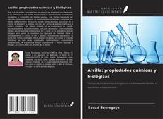 Copertina di Arcilla: propiedades químicas y biológicas