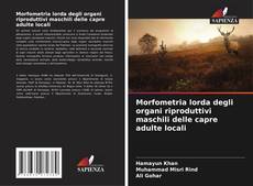 Bookcover of Morfometria lorda degli organi riproduttivi maschili delle capre adulte locali