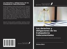 Buchcover von Los derechos y obligaciones de los trabajadores indocumentados