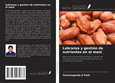 Buchcover von Labranza y gestión de nutrientes en el maní