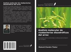 Copertina di Análisis molecular de rizobacterias diazotróficas del arroz