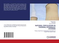 Bookcover of NATURAL CIRCULATION IN THERMAL-HYDRAULIC SYSTEMS