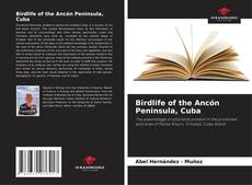 Обложка Birdlife of the Ancón Peninsula, Cuba
