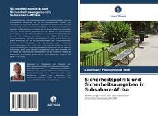 Sicherheitspolitik und Sicherheitsausgaben in Subsahara-Afrika的封面