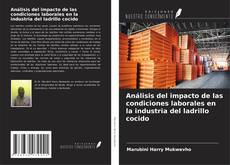 Couverture de Análisis del impacto de las condiciones laborales en la industria del ladrillo cocido
