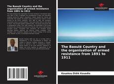 Borítókép a  The Baoulé Country and the organisation of armed resistance from 1891 to 1911 - hoz
