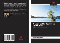 Borítókép a  A Look at the Family in South Kivu - hoz