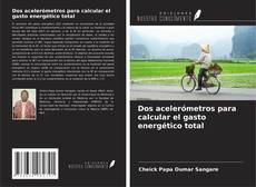 Bookcover of Dos acelerómetros para calcular el gasto energético total