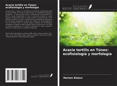 Bookcover of Acacia tortilis en Túnez: ecofisiología y morfología