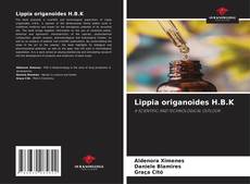 Borítókép a  Lippia origanoides H.B.K - hoz