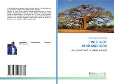 Couverture de TINBILA DE BOULMIOUGOU