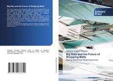 Buchcover von Big Data and the Future of Shopping Malls