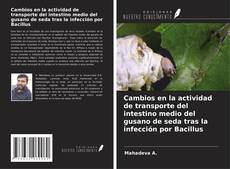 Buchcover von Cambios en la actividad de transporte del intestino medio del gusano de seda tras la infección por Bacillus
