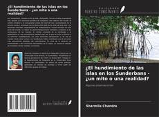 Borítókép a  ¿El hundimiento de las islas en los Sunderbans - ¿un mito o una realidad? - hoz