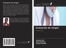 Copertina di Evaluación de riesgos