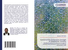 Copertina di Control of the Compressive Strength of Geopolymer Cements