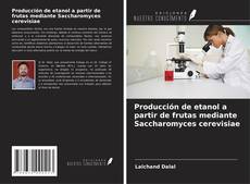 Copertina di Producción de etanol a partir de frutas mediante Saccharomyces cerevisiae