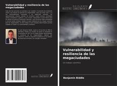 Copertina di Vulnerabilidad y resiliencia de las megaciudades