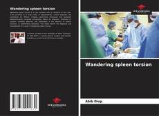 Borítókép a  Wandering spleen torsion - hoz