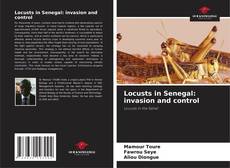 Bookcover of Locusts in Senegal: invasion and control