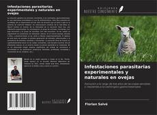 Couverture de Infestaciones parasitarias experimentales y naturales en ovejas