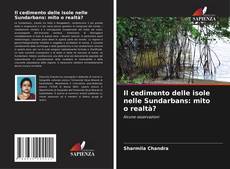 Il cedimento delle isole nelle Sundarbans: mito o realtà?的封面