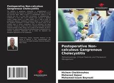Postoperative Non-calculous Gangrenous Cholecystitis kitap kapağı