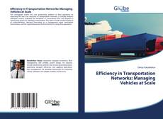 Bookcover of Efficiency in Transportation Networks: Managing Vehicles at Scale
