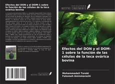 Copertina di Efectos del DON y el DOM-1 sobre la función de las células de la teca ovárica bovina