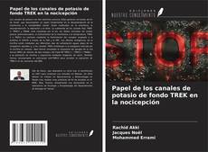 Buchcover von Papel de los canales de potasio de fondo TREK en la nocicepción