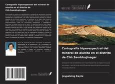 Buchcover von Cartografía hiperespectral del mineral de alunita en el distrito de Chh.Sambhajinagar